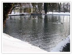 Etang sous la neige