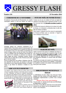 Gressy-Flash N°210 du 23 novembre 2014 - copie